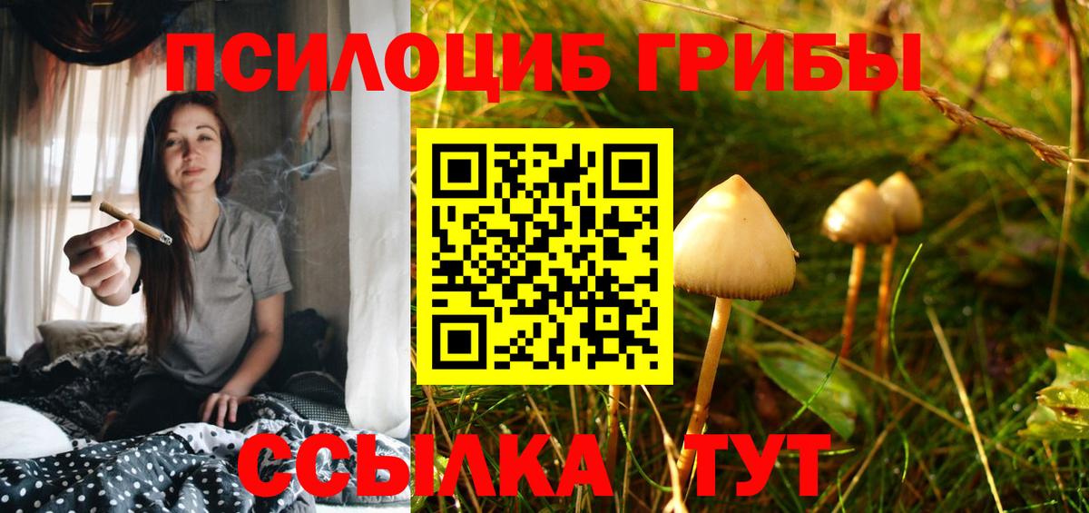 Псилоцибиновые грибы прущие грибы  Вход с VPN  Бирск 